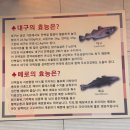 장가네대구왕뽈떼기 | 대전 성남동 맛집 장가네대구왕뽈떼기 대전본점 후기