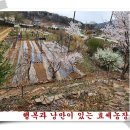 효세농장 이미지