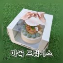 동물성 생크림만을 사용하는 마곡역 케이크 맛집 드립시스 종류 및 추천후기