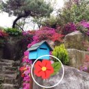 와촌면사무소 이미지