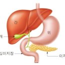 한의사들이 말하는 ＜차가운 성질＞ ＜따뜻한 성질＞이란 무엇인가? 이미지