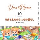 모모의일상