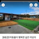 용암쉼 이미지