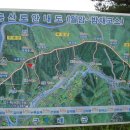 밤재 등산로 이미지