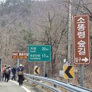 고성군 진부령미술관 이미지