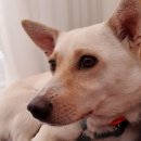 맘마데이 이미지