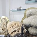 3016 | 강원도 종합박물관 후기｜입장료 할인 팁과 인생샷 명소까지 총정리