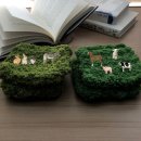 두마농장 이미지