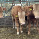 형우농장 이미지