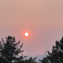 태평한 대평 이미지