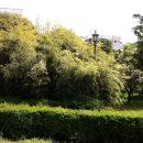 소라장모텔 이미지