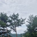 대영힐스CC 이미지