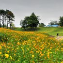 동화정원(곡성) 이미지