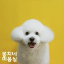 두리베어 이미지