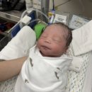 경희산부인과 | 36주 회기 경희의료원 제왕절개 상세 리얼후기