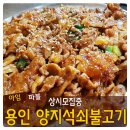 양  지 이미지