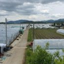 유가네농장 이미지