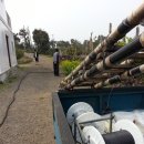 회선농장 이미지