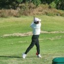 파크골프 클럽 이미지