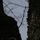 산본중앙공원 이미지