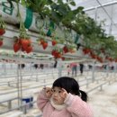 평동농장 이미지