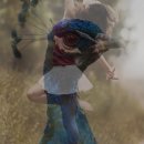 방추 | 방추미세관 동적이고 복잡한 구조체