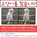 아온 이미지