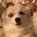 형곡로-7 | [구미]13년 경력대표원장님 1:1 피부 맞춤관리 샵 " 어:여쁘다 " -다양한 이벤트 &amp; 가성비 좋은 가격대...