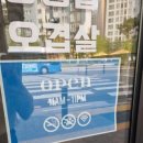 깡돈석관점