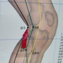 9.21 질의응답(1) : 골반, 복토혈, 보법(간, 신, 비, 폐, 심장 등)혈자리 이미지