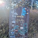 장미길코스 | 【경남 걷기】 밀양 아리랑길 1코스 완주 후기