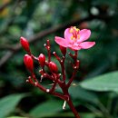 브이랜드 이미지