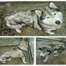 다문주유소 이미지