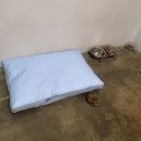 어나더153애견펜션 이미지