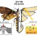 이다컴패니