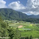 나리다온 이미지