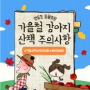 동물병원 산책 이미지