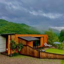 나는숲이다 이미지