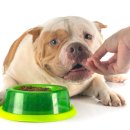 서산동물병원 이미지