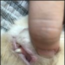 필립동물병원 이미지