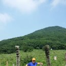 곰배령화원 Daum카페