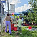 상화농장 | 경기도 가평 사과따기 체험 해별달사과 농장 꿀잼