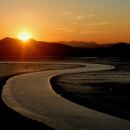 순천만그리고나 이미지