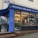 개이쁘개 이미지