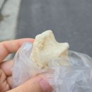 서초동이북인절미 희원당서초점 이북인절미 후기