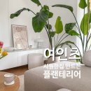 시원한집 이미지