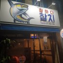 참하다참치 이미지