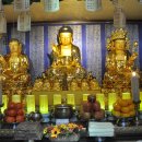 대원정사 이미지