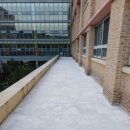 이의초등학교 이미지