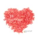 니가 참 좋아 이미지